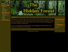 Tablet Screenshot of hiddenforest.co.nz